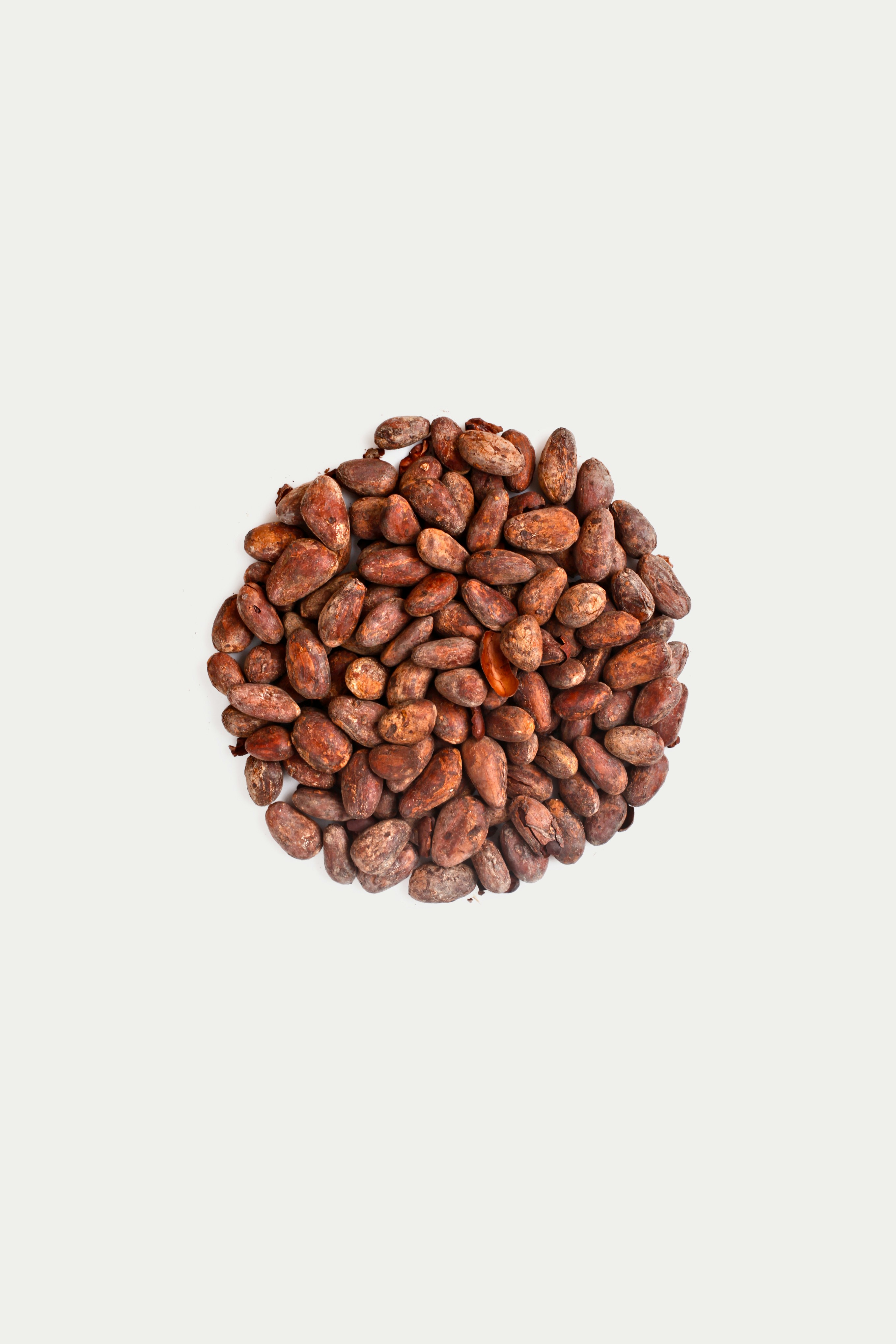 Raw Cocoa Beans